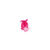 Coupe menstruelle Rose taille S Yoba Nature 